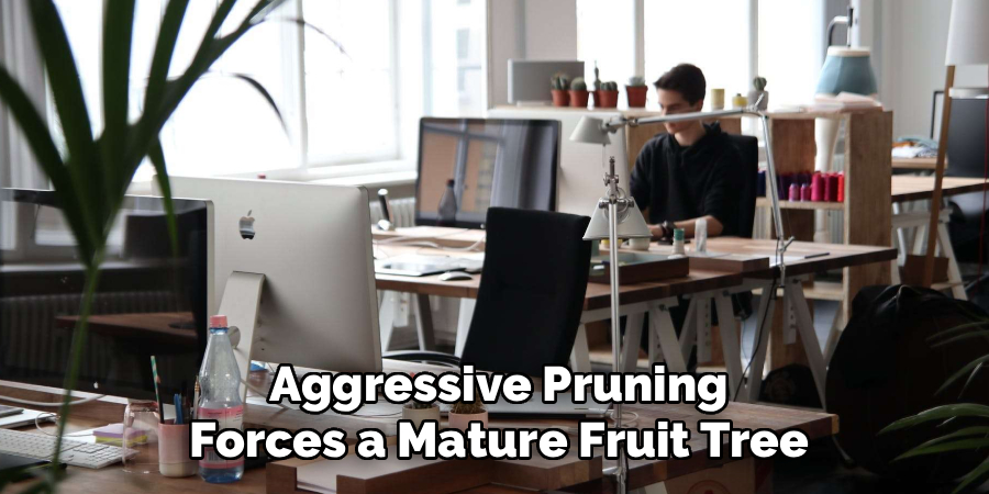 Aggressive Pruning
Forces a Mature Fruit Tree