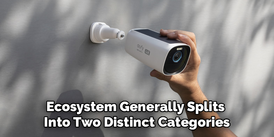 Ecosystem Generally Splits 
Into Two Distinct Categories