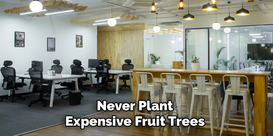 Never Plant 
Expensive Fruit Trees 