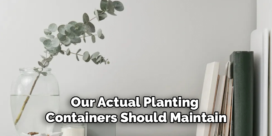 Our Actual Planting 
Containers Should Maintain