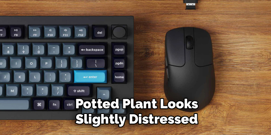 Potted Plant Looks
Slightly Distressed