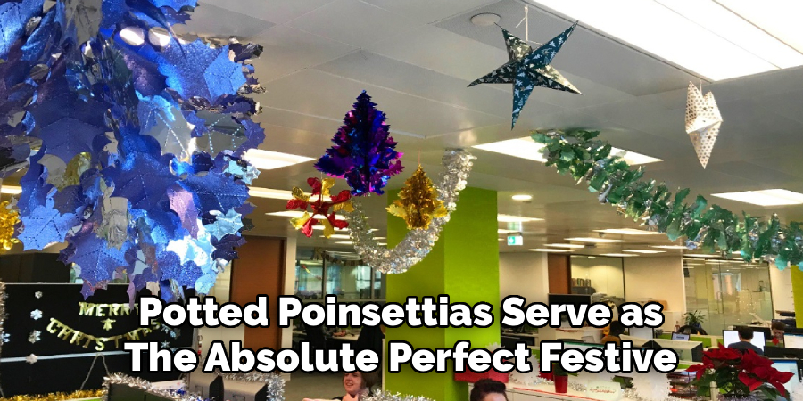 Potted Poinsettias Serve as 
The Absolute Perfect Festive 