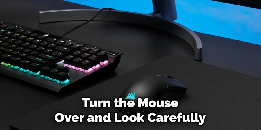 Turn the Mouse
Over and Look Carefully