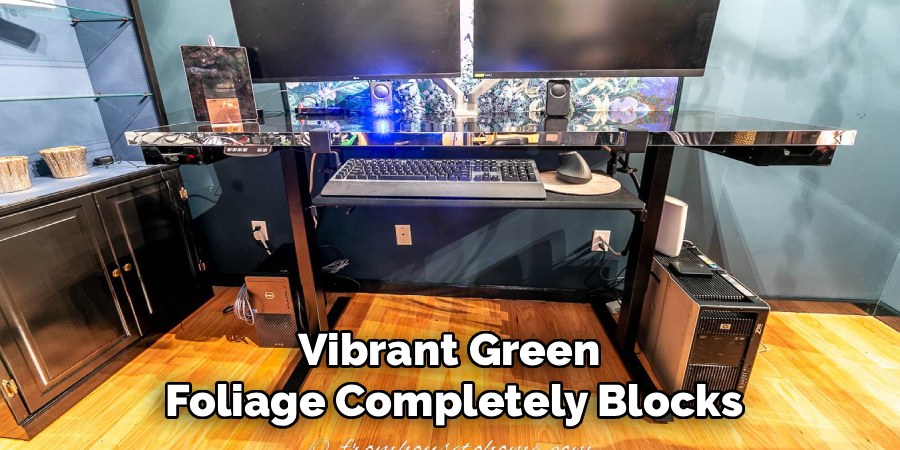 Vibrant Green 
Foliage Completely Blocks